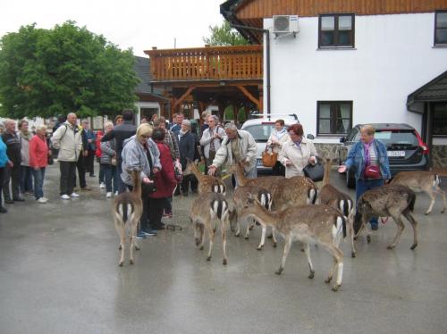 5.5.2017. Olimje i Kumrovec, umirovljenici 032